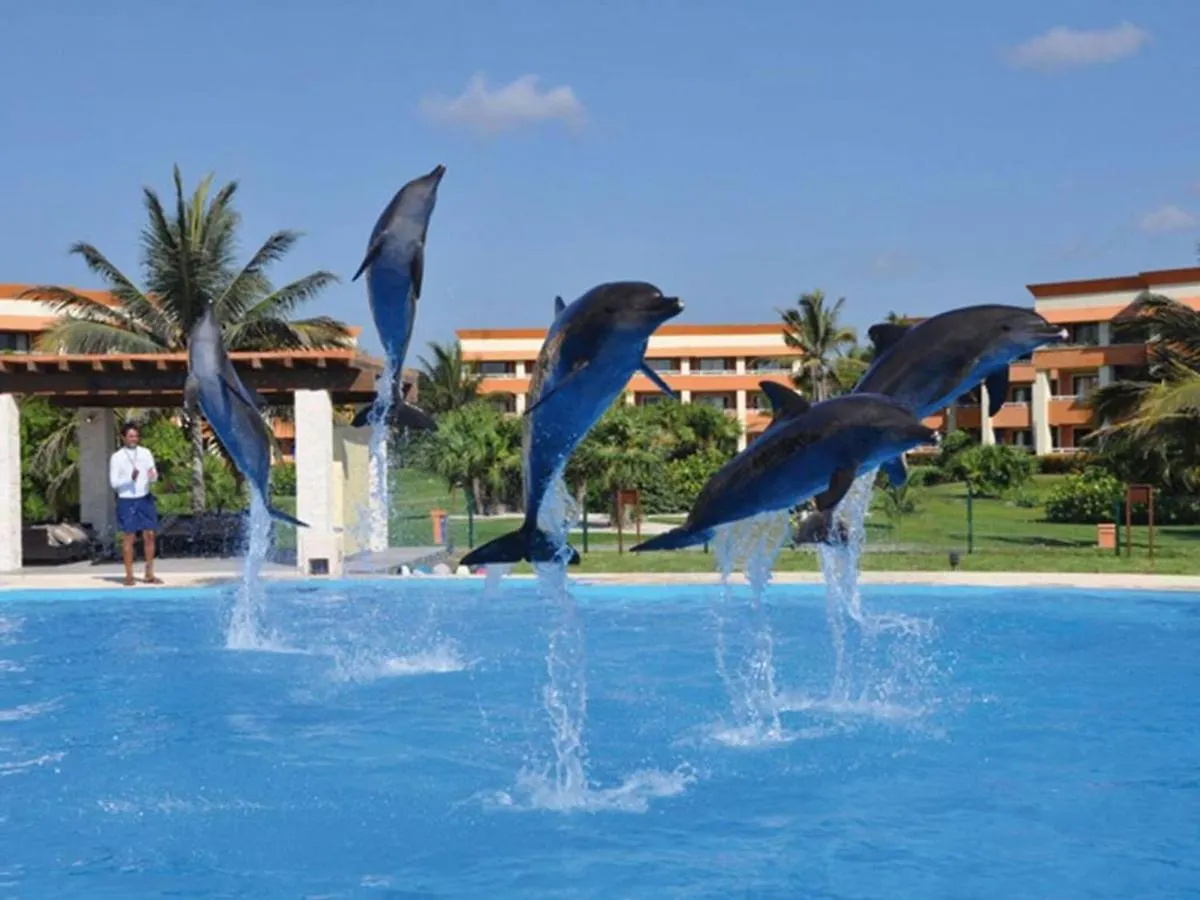 Luxurious Akumal Terrazas 2-Bedroom Condominium Holiday home